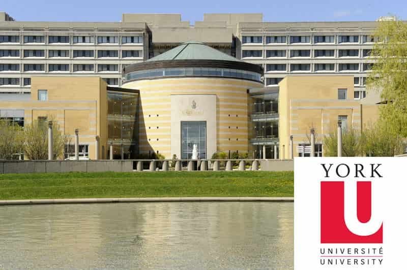 York University